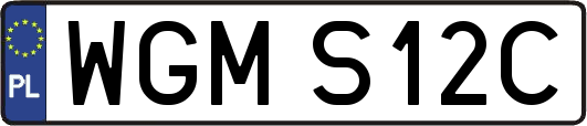 WGMS12C