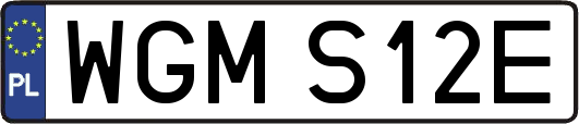 WGMS12E