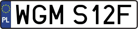 WGMS12F