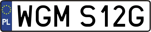 WGMS12G