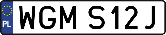 WGMS12J