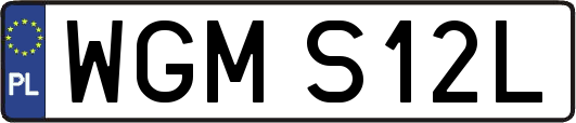 WGMS12L