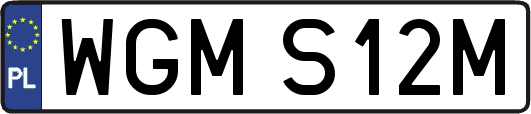 WGMS12M