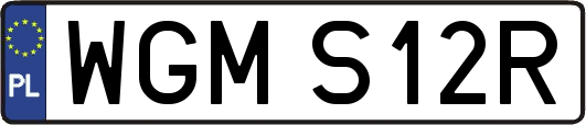 WGMS12R