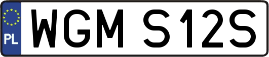WGMS12S