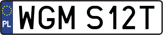 WGMS12T
