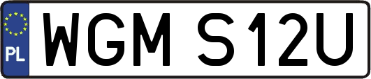WGMS12U