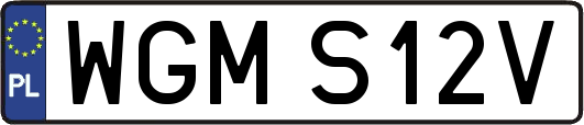 WGMS12V