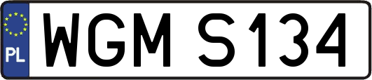 WGMS134