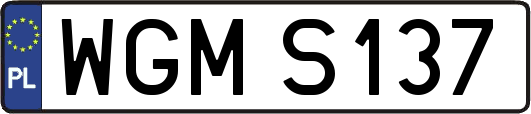 WGMS137