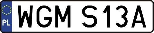 WGMS13A