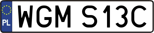 WGMS13C