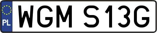 WGMS13G