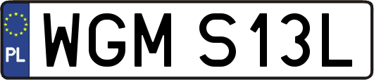 WGMS13L