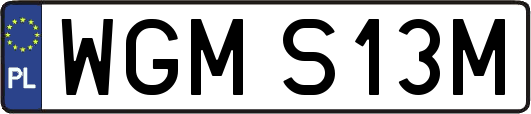 WGMS13M