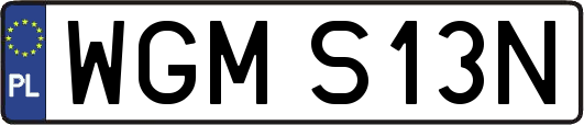 WGMS13N