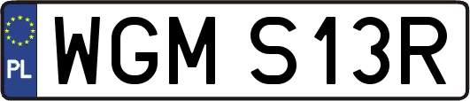 WGMS13R