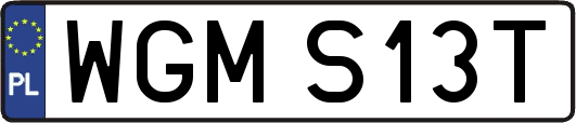 WGMS13T