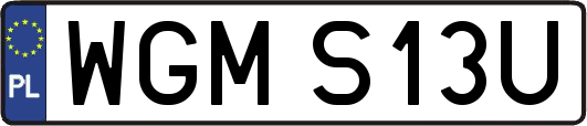WGMS13U
