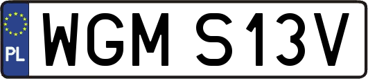 WGMS13V