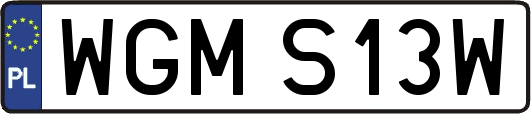 WGMS13W