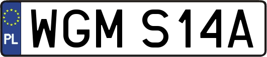 WGMS14A
