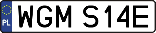 WGMS14E