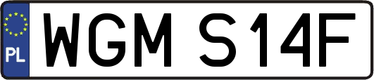 WGMS14F