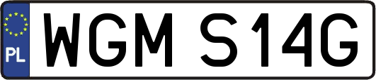 WGMS14G