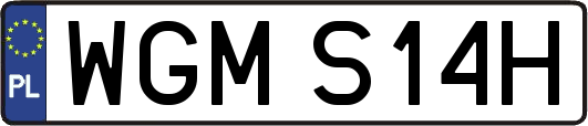 WGMS14H