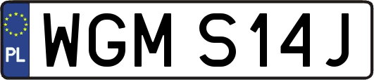 WGMS14J