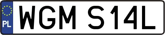 WGMS14L