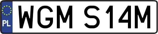 WGMS14M