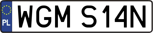 WGMS14N