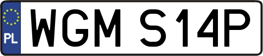 WGMS14P