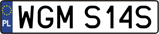 WGMS14S