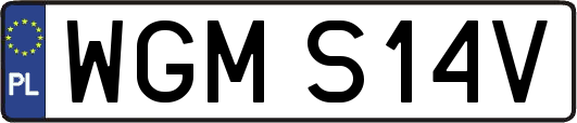 WGMS14V