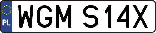 WGMS14X