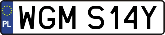 WGMS14Y