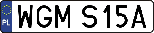 WGMS15A