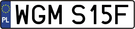 WGMS15F