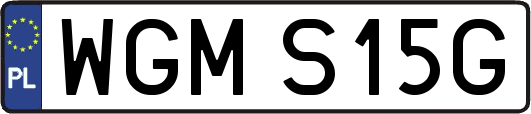 WGMS15G