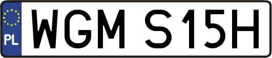 WGMS15H