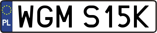 WGMS15K