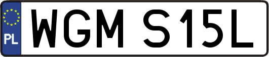 WGMS15L