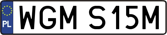 WGMS15M