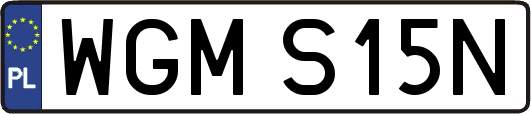 WGMS15N