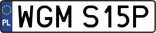 WGMS15P