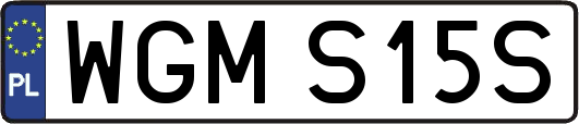 WGMS15S