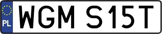 WGMS15T